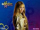 Hannah-Montana-Hannah-Montana-387075,394791
