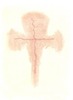 crossabstract1