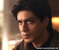 Shah-Rukh-Khan-714185[1]