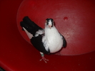 Picture 192