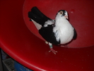 Picture 193