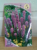 Liatris