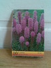 Liatris