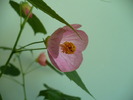 P1220680