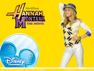 HANNAH-montana-hannah-montana-10866386-1024-768