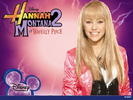 HANNAH-MONTANA-OF-WAVERLY-PLACE-A-NEW-SERIES-BEGINS-hannah-montana-10886597-1024-768