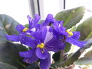 Photo0947