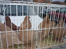 P1010173