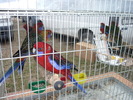 P1010190