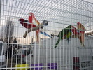 P1010191