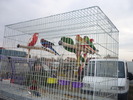 P1010192