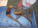 P1010195