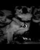 thumb_l_434979686ca543df999326d7d34a06af