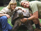 Steve-Irwin%20-1962-2006