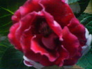 DSC01692