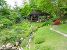 japanese-garden25