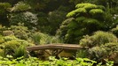 japanese-garden-bridge2