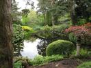 Japanese-Garden-Tatton-Park_66