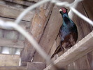 P170310_14.29_[03]