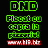 DND plecat cu capra la pizzerie