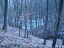 DSCN4953