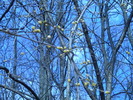 DSCN4946
