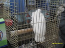SDC11758