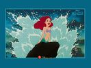 mermaid_wp_06_800