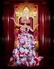 lady gaga hello kitty