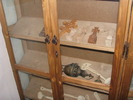 Picture 199
