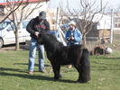 Ovidiu C-ta 2010.