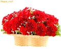 Garoafe-Cosulet-cu-garoafe-poza-t-P-n-dreamstime_4957829_1245682204[1]