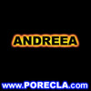 518-ANDREEA%20portocaliu
