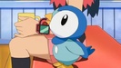 Pi-piplup!