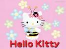 hellokitty albina