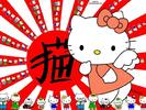 kitty china