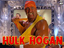 Hulk Hogan2