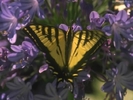 ib_p062_1_11[1]