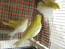 Picture 023