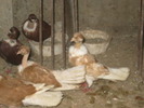 12183762_KUNIUEFQB