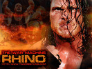 rhino1024