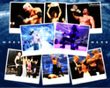 WrestleMania 23 - Winners Wallpaper