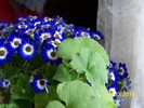 100_2358