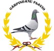 Logo_Flavio_C