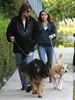 Miley+Cyrus+Dad+Walking+Their+Dogs+ArkD1eRMSPfl