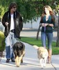 Miley+Cyrus+Dad+Walking+Their+Dogs+O8CqJaQYW_4l
