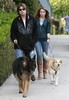 Miley Cyrus Dad Walking Their Dogs bne0Iz7isBAl