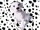 cuteness--dogs-248630_120_90