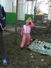 DSCF3162