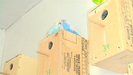 IMGA0474